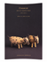 Douglas Dawson Chancay Art of Coastal Peru 1000–1400 AD exhibition catalog cover, April 30 to June 18, 2004.