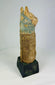 Egyptian votive cat mummy in black museum-style display
