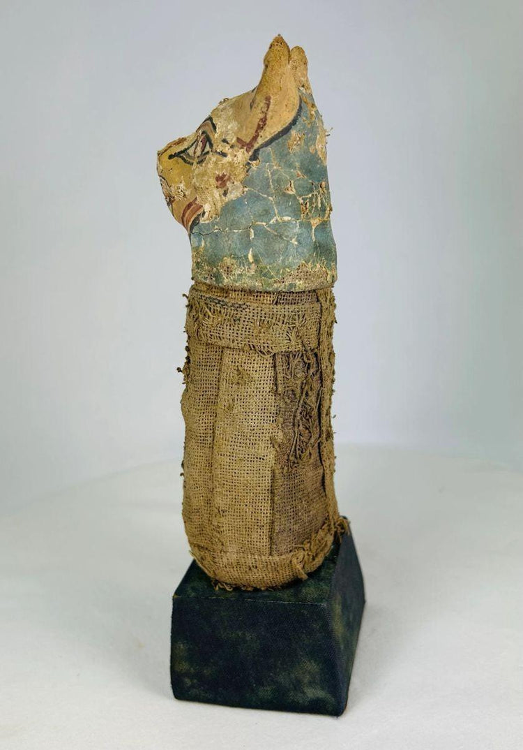 Side view of Ancient Egyptian Bastet cat mummy with detailed linen wrappings and painted mask.