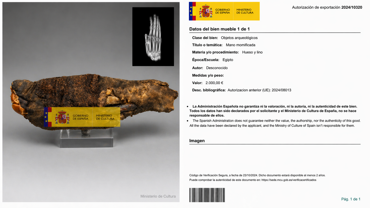 Spanish government export permit document showing a mummified hand artifact with X-ray inset and official cultural heritage authorization details