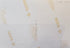 Back of archival photograph showing handwritten date September 1983.