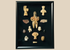 Framed collection of Pre-Columbian terracotta and stone artifacts displayed in a shadowbox.