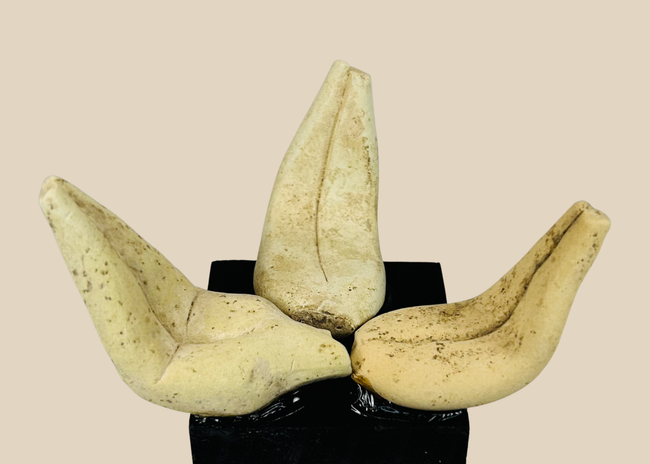 Pre-Columbian ceramic fragments with carved grooves mounted for display