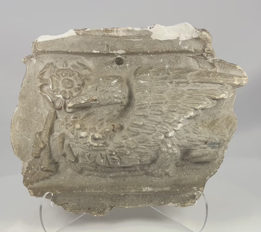 360-degree view of early 20th-century plaster griffin relief cast showing detailed wings, muscular form, aged patina, and original Westminster coronation label on the reverse