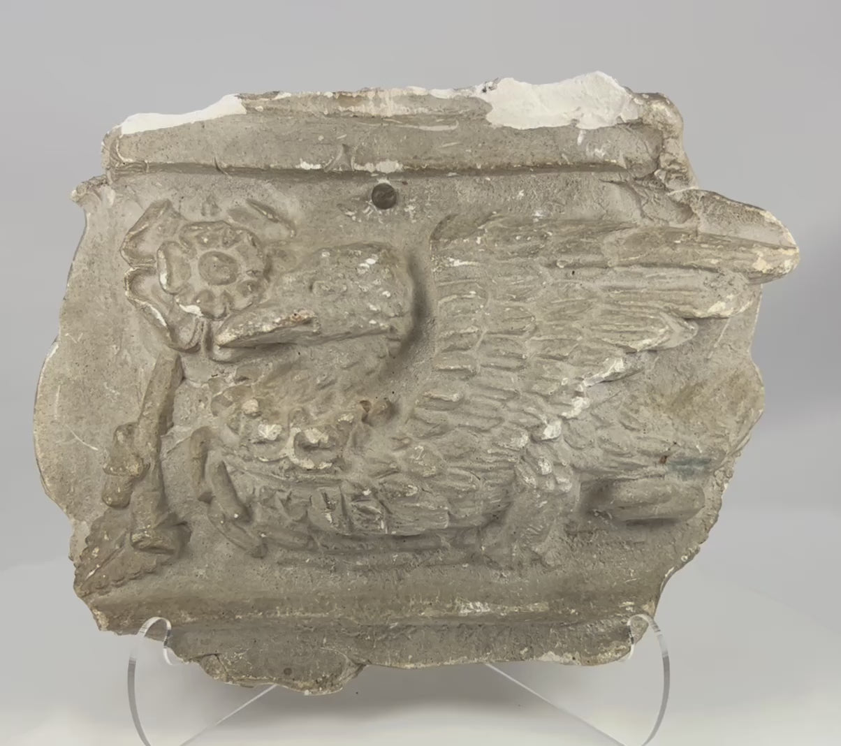 360-degree view of early 20th-century plaster griffin relief cast showing detailed wings, muscular form, aged patina, and original Westminster coronation label on the reverse