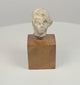 Video of an ancient terracotta head fragment on a wooden base, showing youthful facial features, sculpted hair, and a weathered surface.
