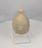 Rotating view of an ancient Roman to Byzantine terracotta bottle with a compact ovoid body, gently sloping shoulders, short constricted neck, broad thickened everted rim, narrow opening, subtle wheel-turning lines, pale buff surface, mineral deposits, burial accretions, surface weathering, and a custom clear acrylic display stand