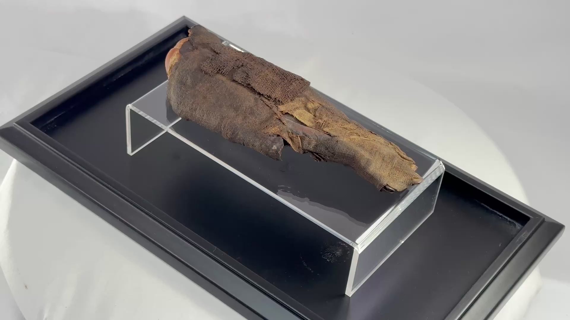 360-degree video of authentic ancient Egyptian mummified hand, 700–200 BCE, verified by DNA and X-ray analysis, showing linen wrappings, preserved fingernails, and desiccated skin on museum-grade display stand.