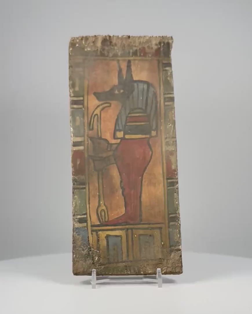Video showcasing an ancient Egyptian Ptolemaic painted wooden funerary panel depicting Duamutef, one of the Four Sons of Horus, highlighting the jackal-headed deity, striped headdress, reddish-brown mummiform body, ochre-orange background, surviving polychrome pigments, geometric borders, and exposed wooden reverse.