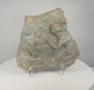 Rotating presentation of ancient Roman figural relief fragment carved in volcanic tuff, showing weathered Classical figures and porous stone texture
