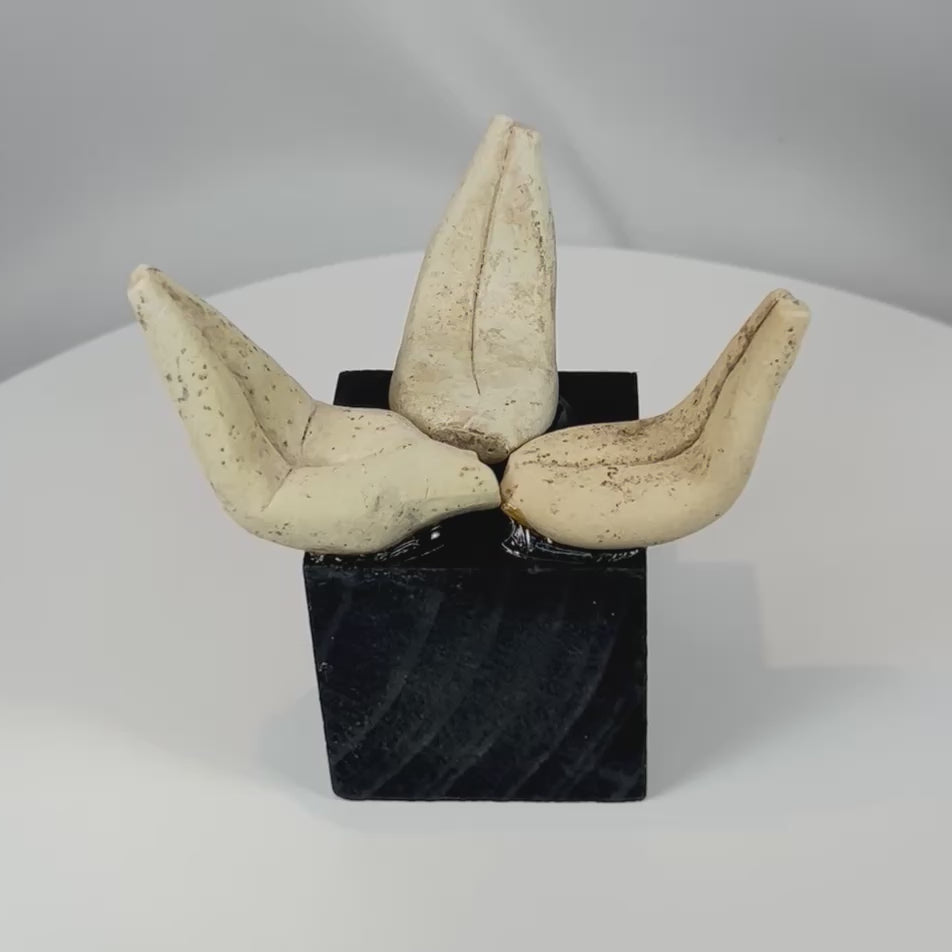 360 degree rotating view of Pre-Columbian terracotta ceramic fragments from ancient Mesoamerican pottery collection