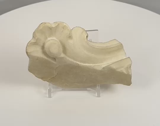 Rotating view of an 18th-century Sicilian Baroque marble architectural fragment from the Church of San Domenico, Noto, highlighting carved floral motifs, scrolling volutes, surface weathering, and historic craftsmanship from multiple angles.