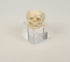 Rotating video of an antique European carved bone memento mori skull ring showing its openwork details, polished surface, and continuous band