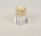 Rotating video of an antique European carved bone memento mori skull ring showing its openwork details, polished surface, and continuous band