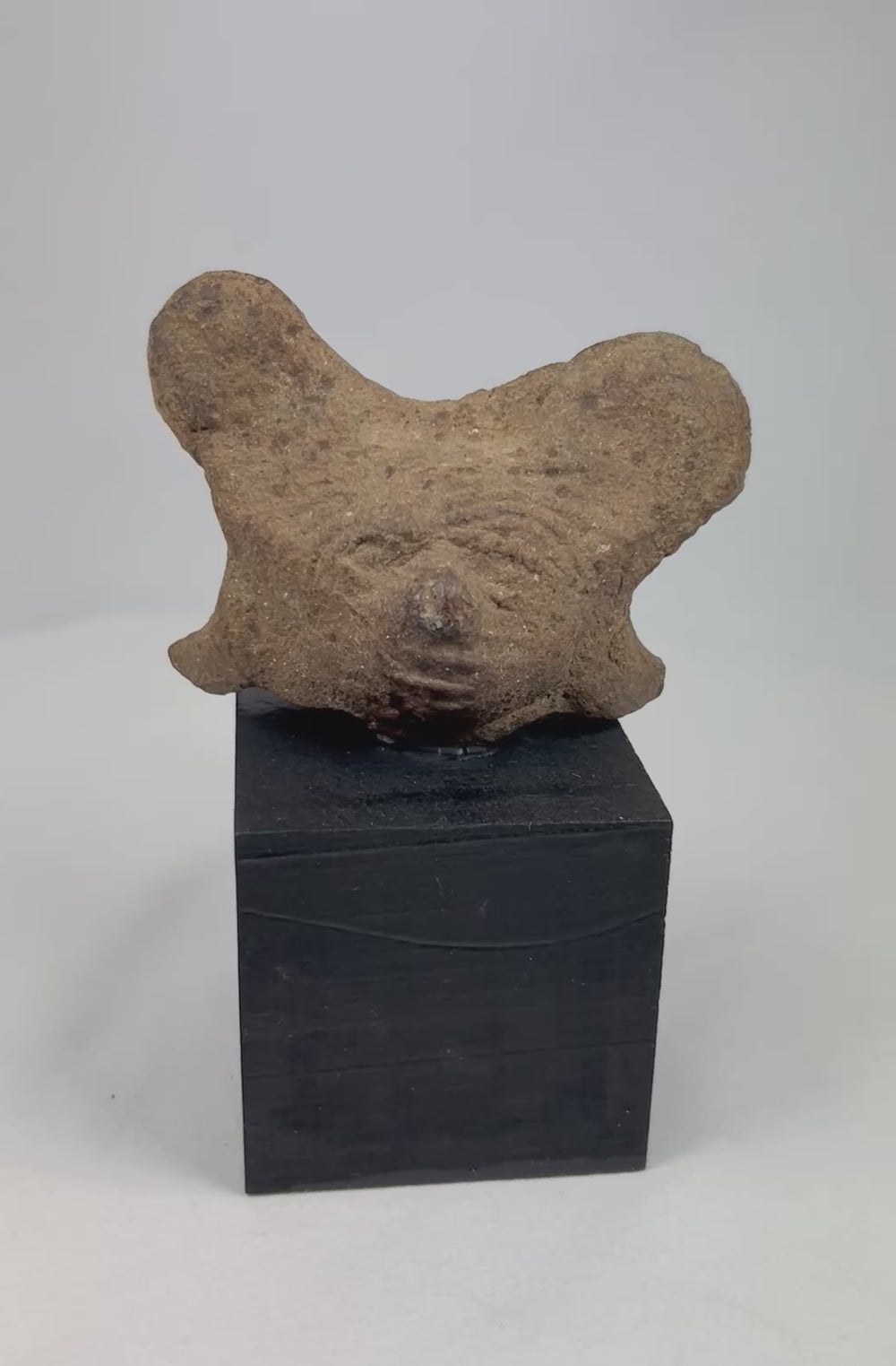 Video of Pre-Columbian West Mexico terracotta head fragment with stylized features