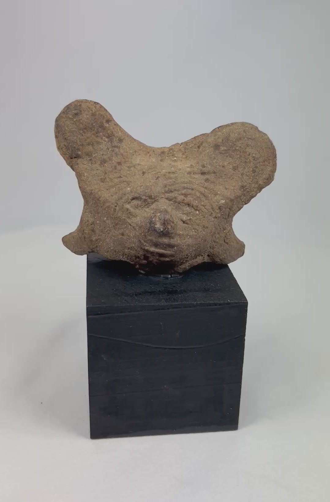 Ancient Pre-Columbian terracotta head fragment from West Mexico shaft-tomb culture, with stylized facial features and burial encrustations, mounted on a black display base, photographed on a white background