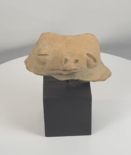 Rotating view of a Pre-Columbian terracotta zoomorphic head fragment, showcasing the stylized facial features, projecting snout, surface weathering, mineral accretions, and archaeological patina from multiple angles.