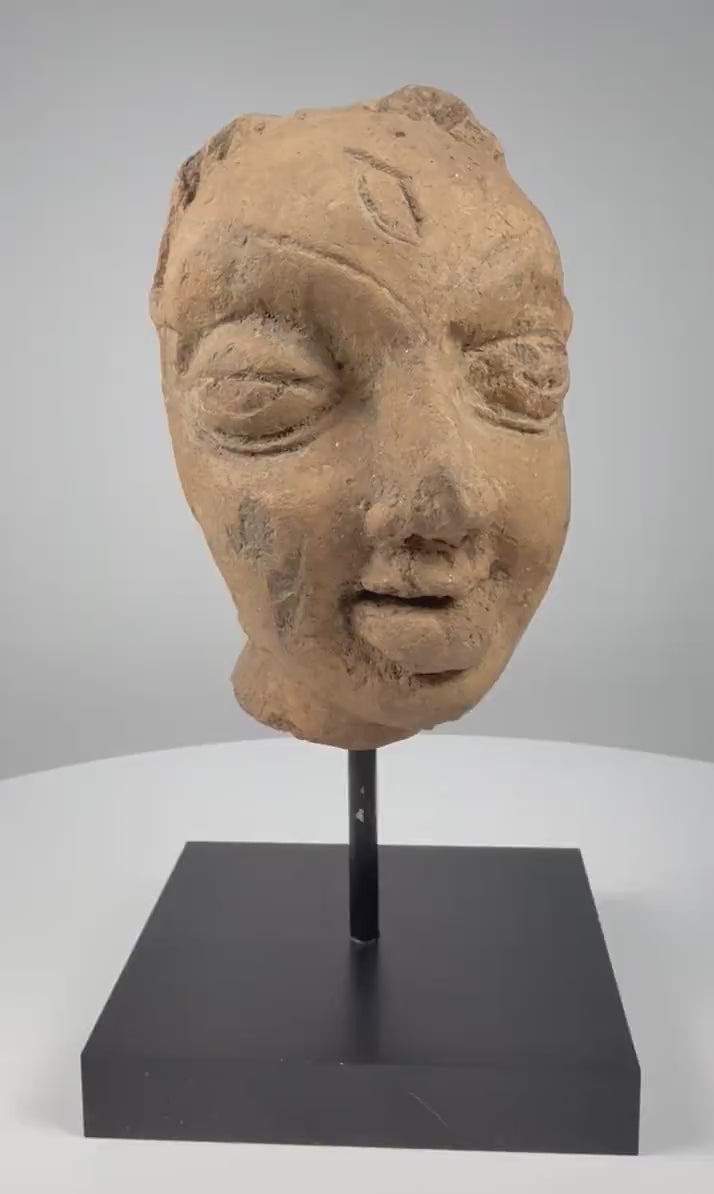 Video showcasing an ancient Indian Gupta-period terracotta head fragment dating to the 3rd–5th century CE, highlighting its almond-shaped eyes, arched brows, serene facial expression, weathered clay surface, mineral accretions, and modern display stand.