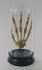 Rotating view of antique articulated human hand skeleton by Adam, Rouilly & Co., London, displayed on hardwood base with glass dome, circa 1900–1930