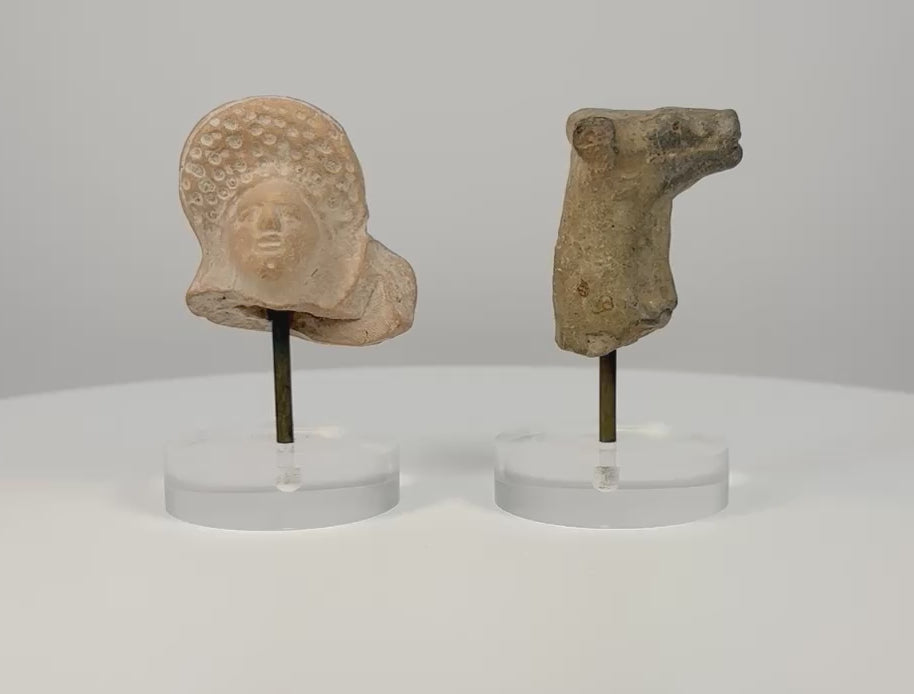 360-degree rotating view of two ancient terracotta artifacts: a Roman female bust featuring an elaborate Flavian-style curled hairstyle and detailed facial features, alongside a Mesopotamian bovine protome depicting a stylized bull's head and neck. Both fragments display weathered surfaces, age-related wear, and distinctive craftsmanship, presented on individual clear acrylic display stands.