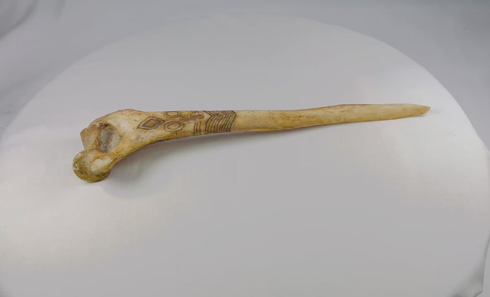 New Guinea Highlands ritual bone dagger carved from a human femur with pigment and engraved designs, rotating view showing craftsmanship and ceremonial form.