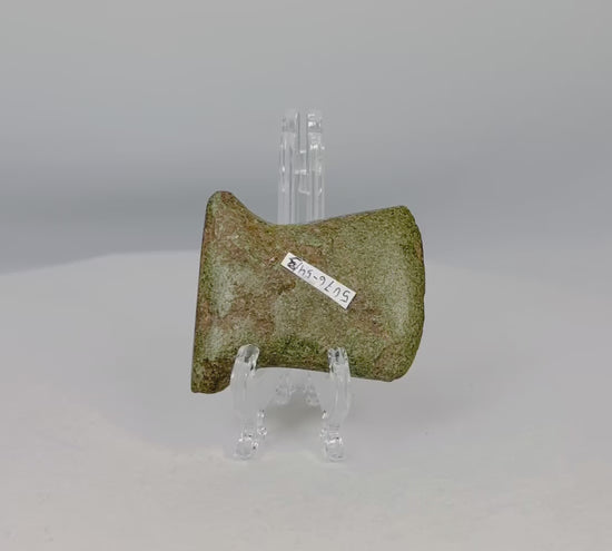 Small Pre-Columbian Andean ground-stone notched axe from Ecuador or Peru, circa 500–1500 CE. Utilitarian tool with steep beveled edge, rounded cutting surface, and side notches for hafting. Evidence of repeated sharpening and use-wear reflects practical daily use in woodworking and agriculture. Original archaeological tag included.