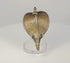 360-degree rotating view of a 19th century Indian brass Naga cobra shrine canopy, showing the expanded engraved hood, raised serpent head, tapered mounting tang, and aged golden-brown patina.