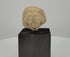 360-degree rotating video of an ancient Near Eastern terracotta male head fragment featuring a detailed beard, prominent facial features, deeply carved eyes, and a distinctive sculpted hairstyle. Dating to circa 1st millennium BCE, mounted on a black display stand.