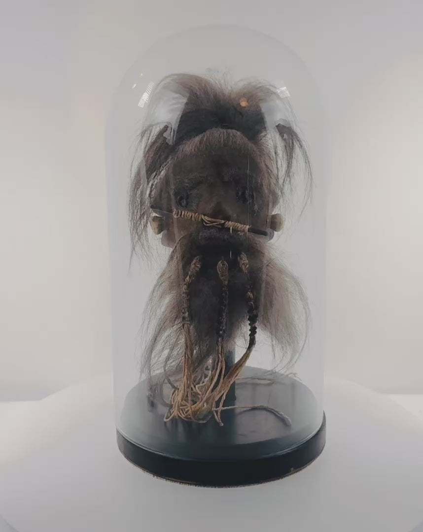 Rotating video of a mid-20th-century Amazonian-style shrunken head replica in a glass globe, showing the stitched animal hide, facial details, horse hair, and complete display presentation.