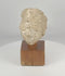 360-degree rotating view of an ancient Gandharan Buddhist stucco head fragment mounted on a wooden display base, showcasing its serene facial features, archaeological weathering, mineral deposits, and distinctive Kushan-period artistic style.