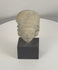 Rotating view of a Pre-Columbian terracotta effigy head from West Mexico, highlighting the elongated cranial form, prominent ear spools, stylized facial features, archaeological weathering, and ancient surface patina from multiple angles.