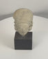 Rotating view of a Pre-Columbian terracotta effigy head from West Mexico, highlighting the elongated cranial form, prominent ear spools, stylized facial features, archaeological weathering, and ancient surface patina from multiple angles.