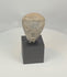 360-degree rotating video of an ancient Mesopotamian pottery head mounted on a custom display stand, circa 2000–1500 BCE