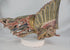 Video showing a mid-19th-century Chinese phoenix architectural carving in hand-carved camphor wood, with raised wings, detailed plumage, polychrome red, green, and blue pigments, gilded highlights, and natural age-related patina.