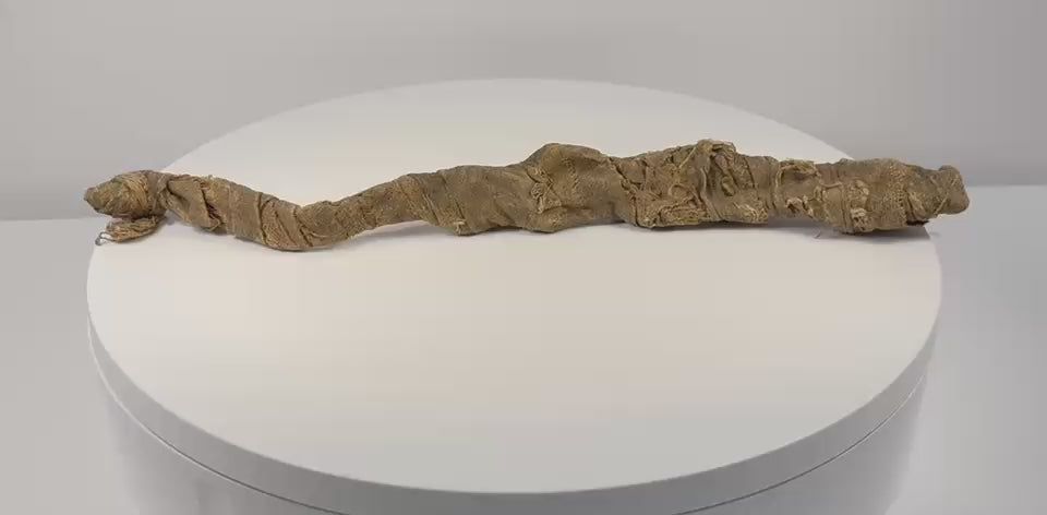 Ancient Egyptian juvenile crocodile mummy rotating to display its curved form, layered linen wrappings, and preserved textile details