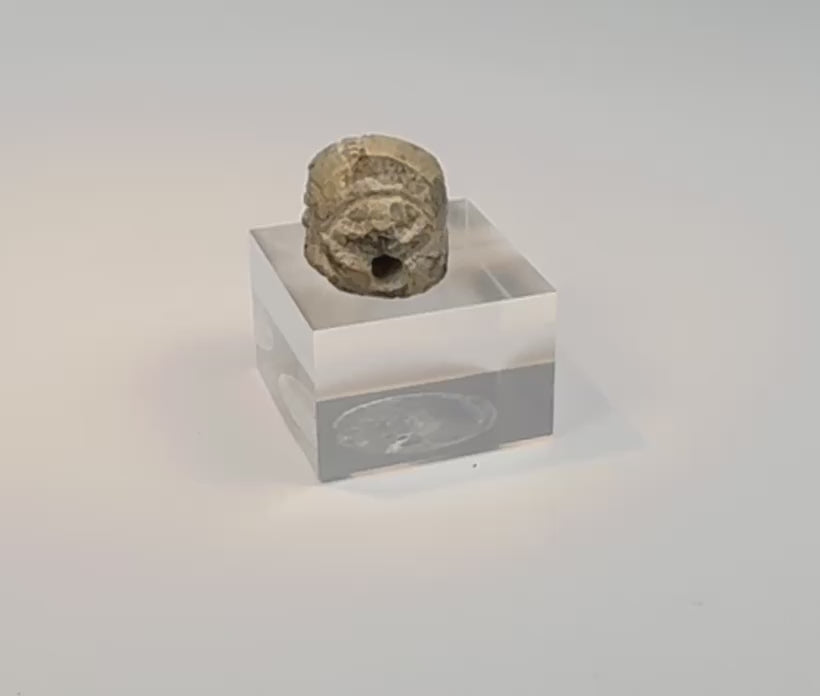 Rotating view of a cream-colored ancient Egyptian faience scarab amulet with mineral accretions