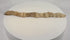 Video showing an ancient Egyptian mummified juvenile crocodile with original aged linen wrappings, preserved votive form, detailed surface views, and X-ray imagery confirming the crocodilian skeleton within.