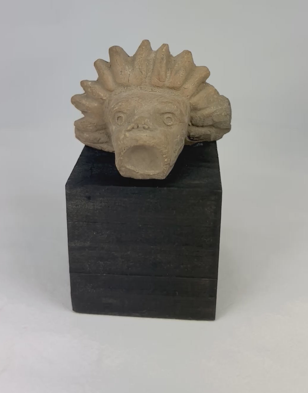 Pre-Columbian Mesoamerican carved stone animal head, circa 900–1500 CE, jaguar or lion-like guardian figure fragment with radiating mane, mounted on black display base