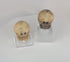 Video showing a pair of large Tibetan Kapala Citipati ritual beads carved from human femur bone, featuring deeply carved skeletal iconography, vertical suspension holes, aged bone patina, and preserved details associated with Himalayan Buddhist ritual practice.