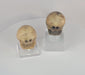 Video showing a pair of large Tibetan Kapala Citipati ritual beads carved from human femur bone, featuring deeply carved skeletal iconography, vertical suspension holes, aged bone patina, and preserved details associated with Himalayan Buddhist ritual practice.