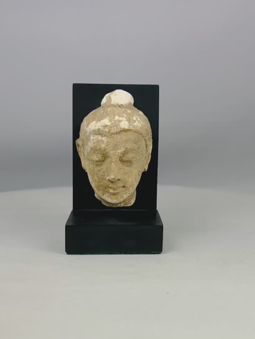 3rd–4th century CE Gandharan Buddha head carved in schist with serene expression, closed eyes, finely arched brows, and ushnisha, reflecting Greco-Buddhist Hellenistic realism and Indian spiritual iconography, mounted on modern display stand.