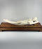 Video showing multiple views and carved details of a monumental mid-20th-century Chinese doctor’s lady-inspired reclining female figure with a custom hardwood pedestal