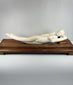 Video showing multiple views and carved details of a monumental mid-20th-century Chinese doctor’s lady-inspired reclining female figure with a custom hardwood pedestal