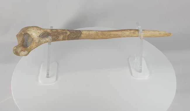 Video showing a 19th-century New Guinea ritual dagger carved from human bone, with painted geometric decoration, preserved feather embellishments, a tapered blade form, and natural age-related patina.