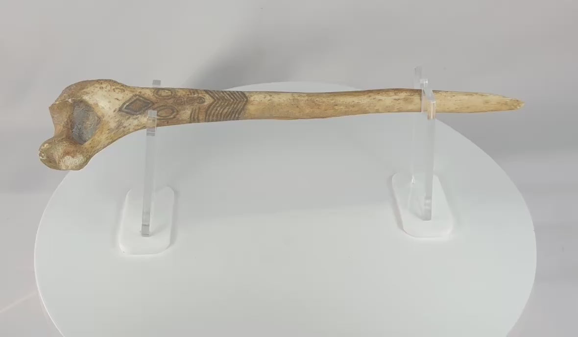 Video showing a 19th-century New Guinea ritual dagger carved from human bone, with painted geometric decoration, preserved feather embellishments, a tapered blade form, and natural age-related patina.