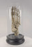 Rotating view of antique articulated human foot skeleton by Adam, Rouilly & Co., London, showing foot and ankle anatomy, circa 1900–1930