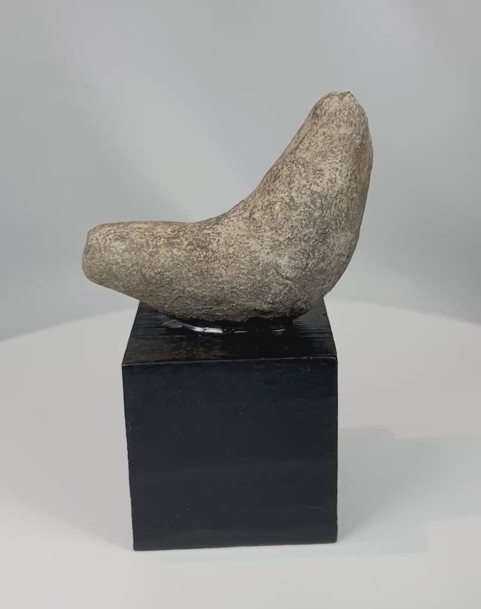 360 degree rotating view of an authentic Pre-Columbian ground stone tool artifact from ancient Mesoamerican culture mounted for display