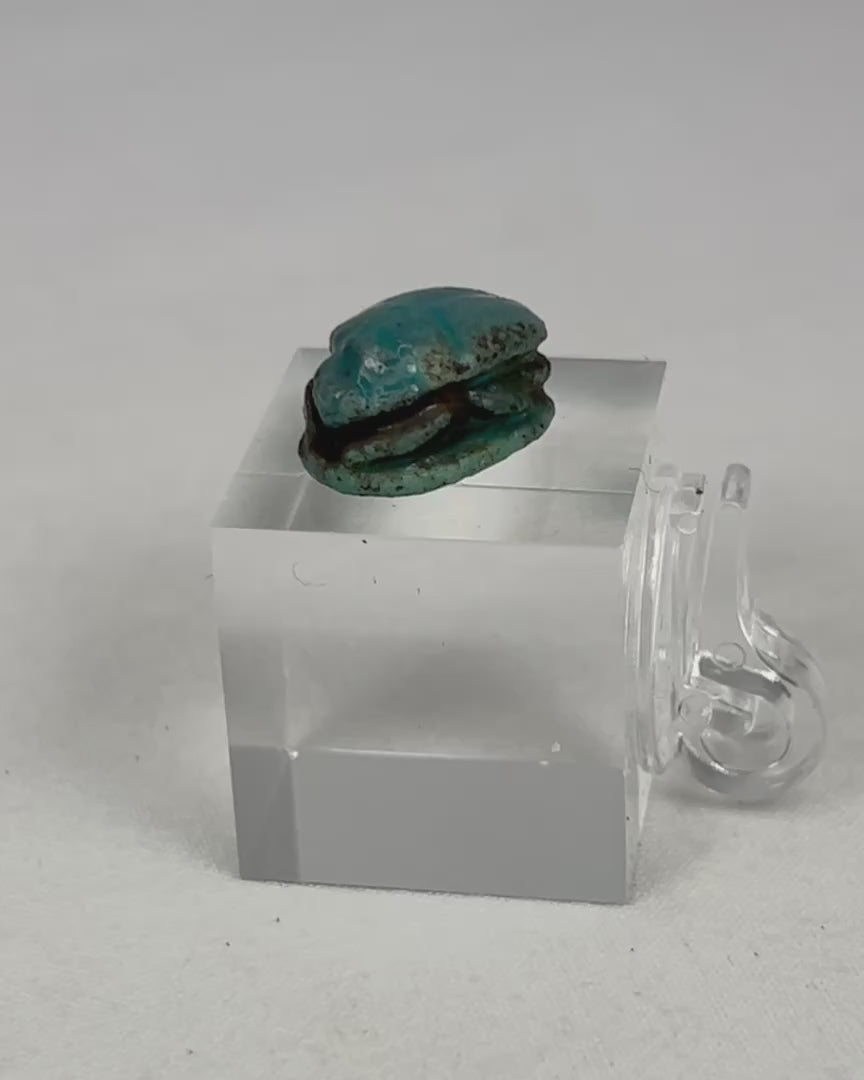 Rotating video of an authentic ancient Egyptian New Kingdom blue-glazed scarab amulet.