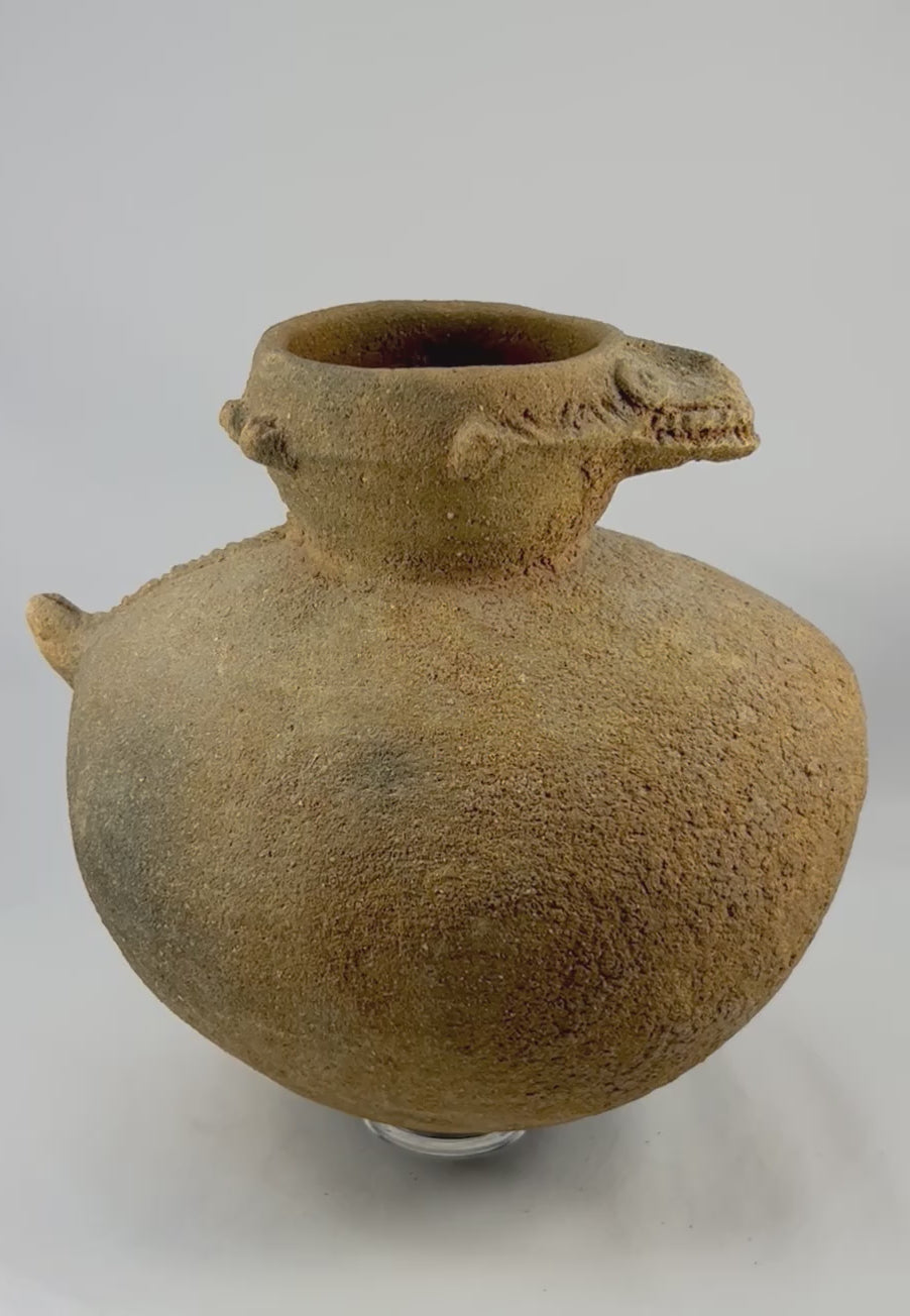 Rotating showcase video of West African terracotta ritual vessel from Mali featuring a bold crocodile effigy head, rounded globular body, raised appliqué decoration, and ancient earthen patina, circa 12th–18th century.