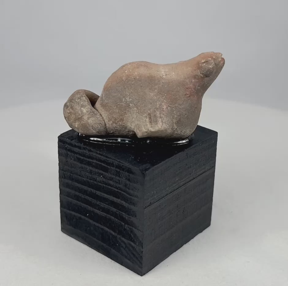 360-view video of an ancient Pre-Columbian terracotta zoomorphic effigy sculpture showing full form, ceremonial opening, surface patina, and mounted display presentation